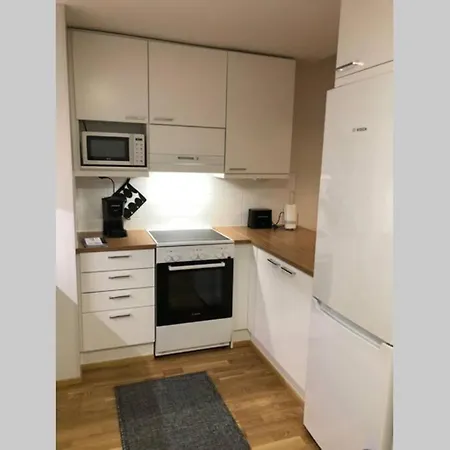 Keskustan Kaksio 45 M2 Autopaikalla, Rautatienkatu 19, 9 Krs Oulu Exterior photo